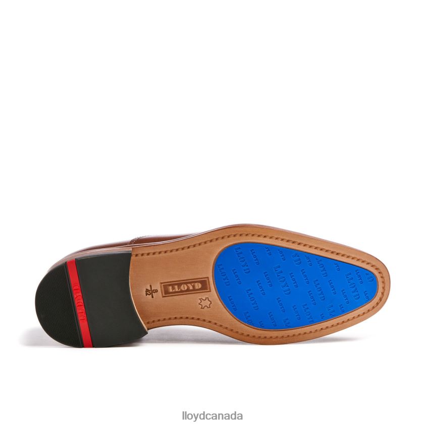 ROB LLOYD Men brown R084ZF130 Shoes