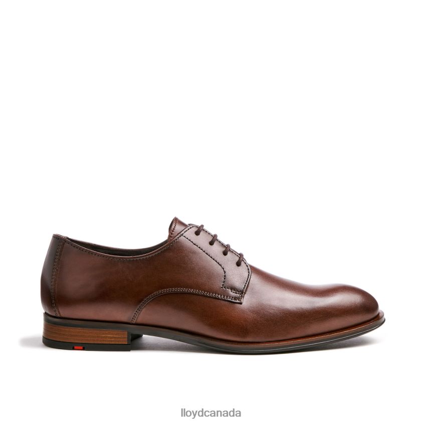 SABRE LLOYD Men brown R084ZF2 Shoes