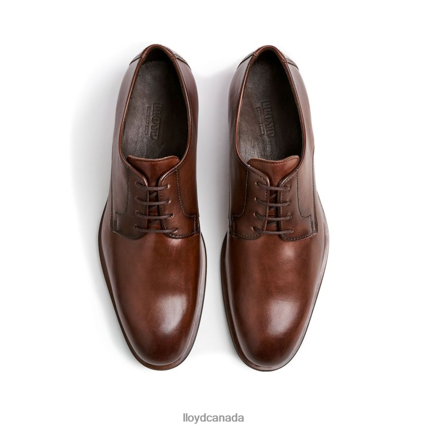 SABRE LLOYD Men brown R084ZF2 Shoes
