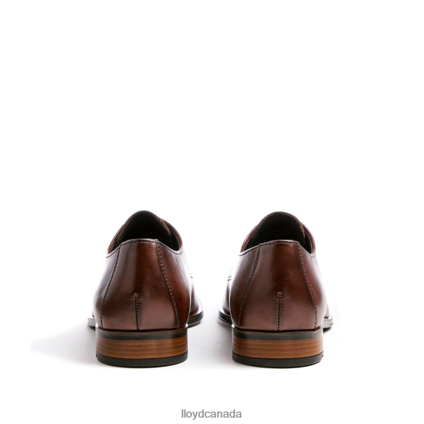 SABRE LLOYD Men brown R084ZF2 Shoes