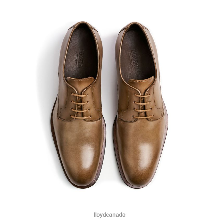 SABRE LLOYD Men grey R084ZF149 Shoes
