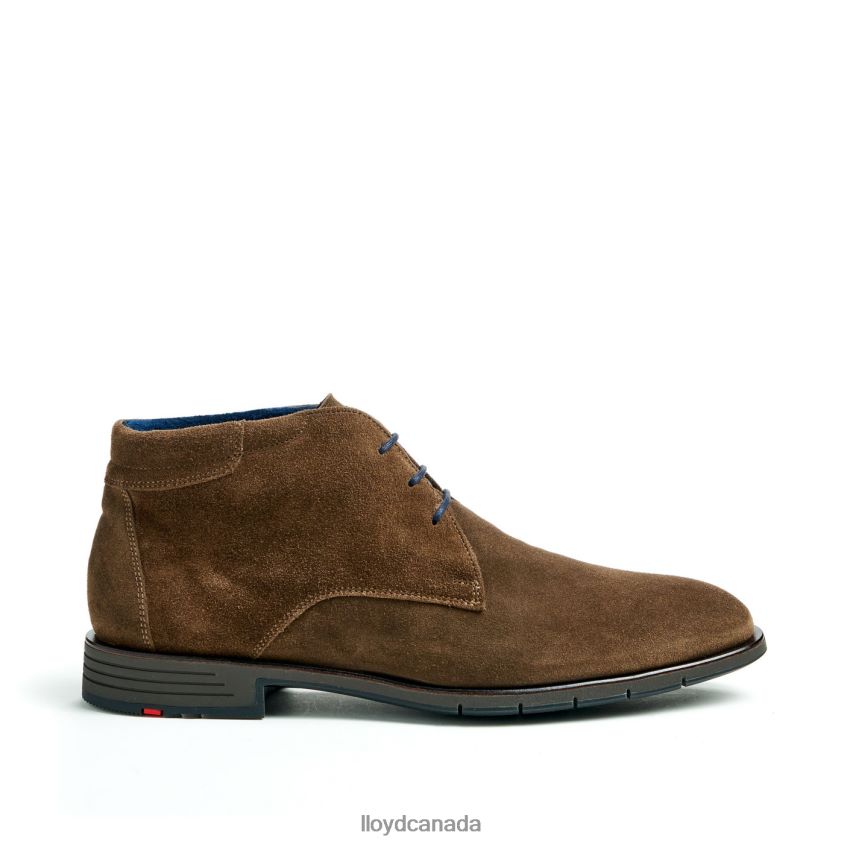 TAMAR LLOYD Men brown R084ZF49 Shoes