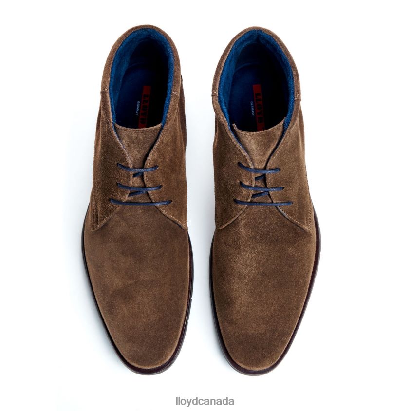 TAMAR LLOYD Men brown R084ZF49 Shoes