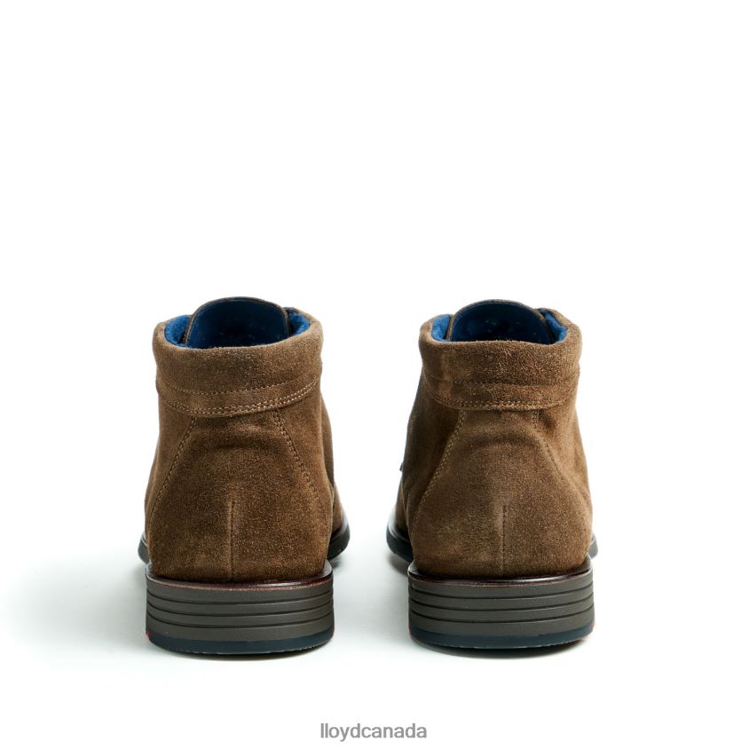 TAMAR LLOYD Men brown R084ZF49 Shoes