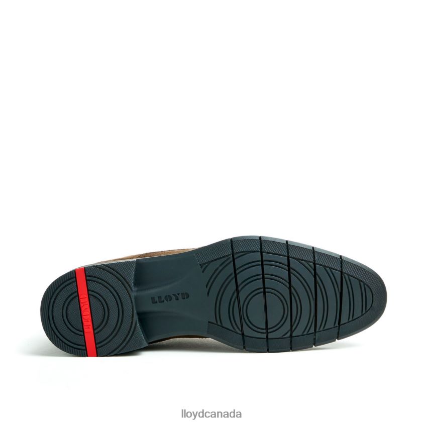 TAMAR LLOYD Men brown R084ZF49 Shoes