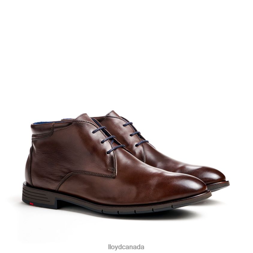 TAMAR LLOYD Men brown R084ZF55 Shoes