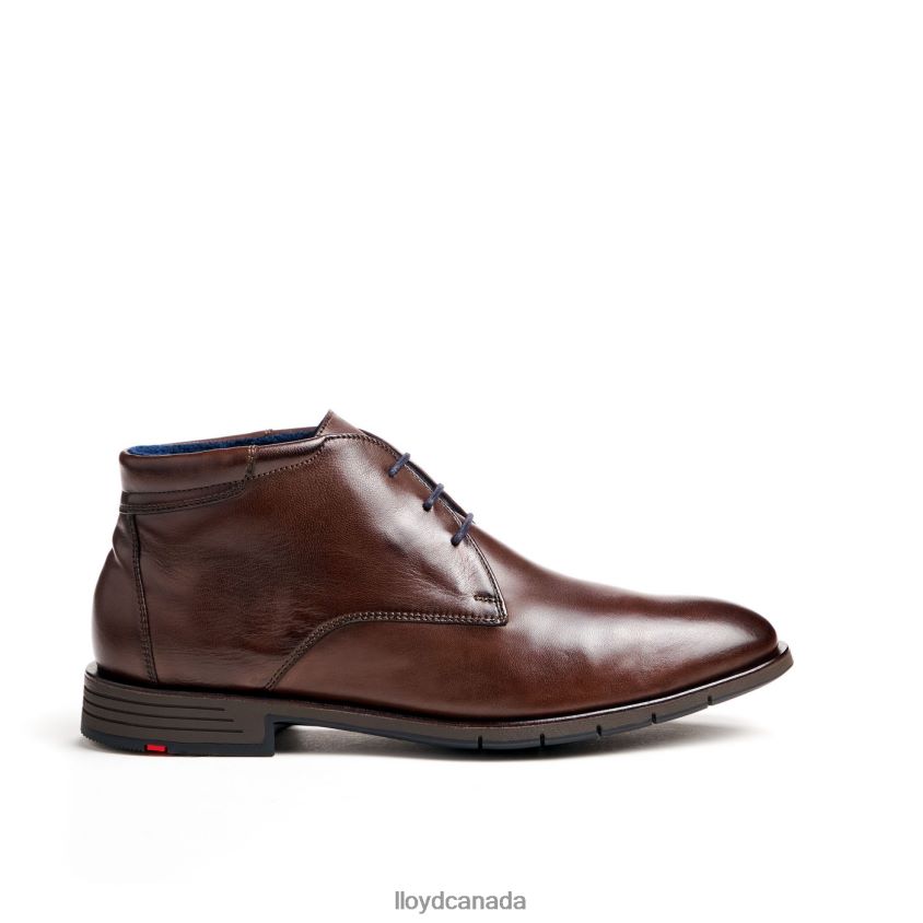 TAMAR LLOYD Men brown R084ZF55 Shoes