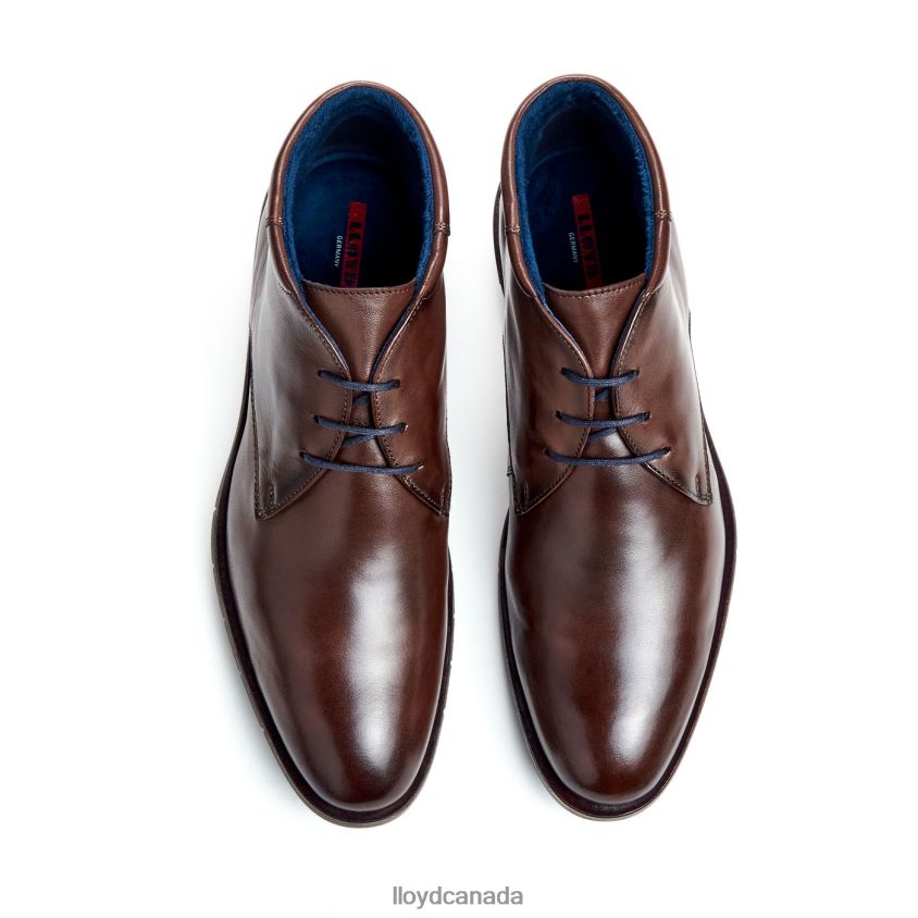 TAMAR LLOYD Men brown R084ZF55 Shoes