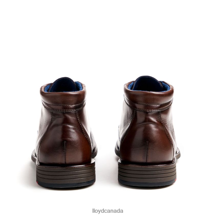 TAMAR LLOYD Men brown R084ZF55 Shoes