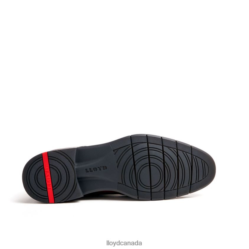 TAMAR LLOYD Men brown R084ZF55 Shoes
