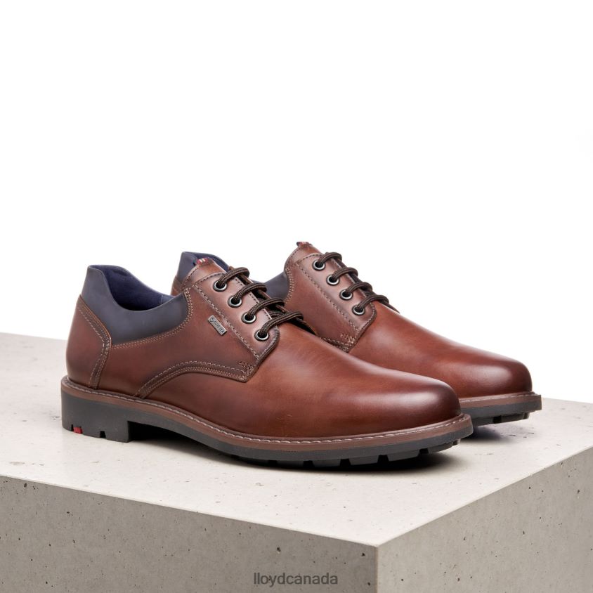 VANJA LLOYD Men brown R084ZF576 Shoes