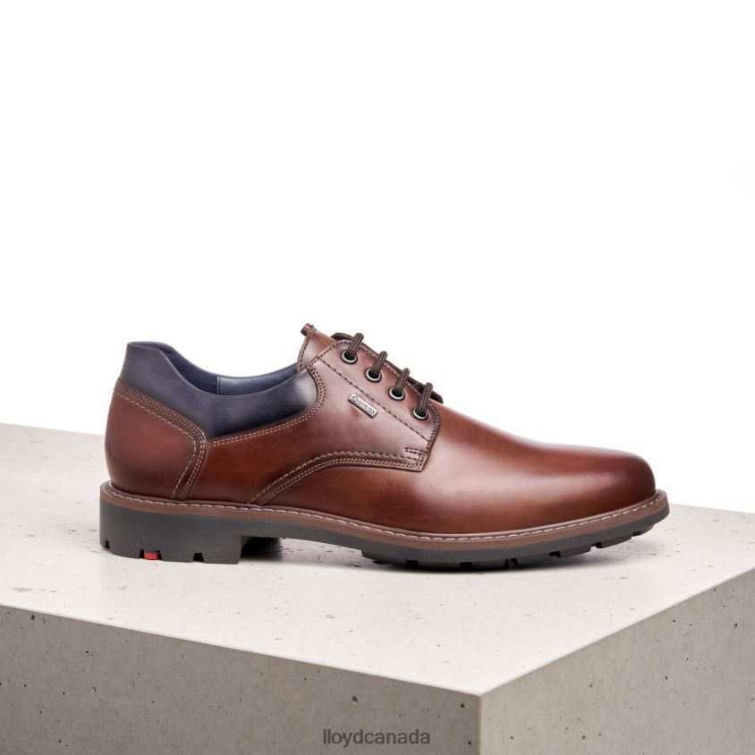 VANJA LLOYD Men brown R084ZF576 Shoes