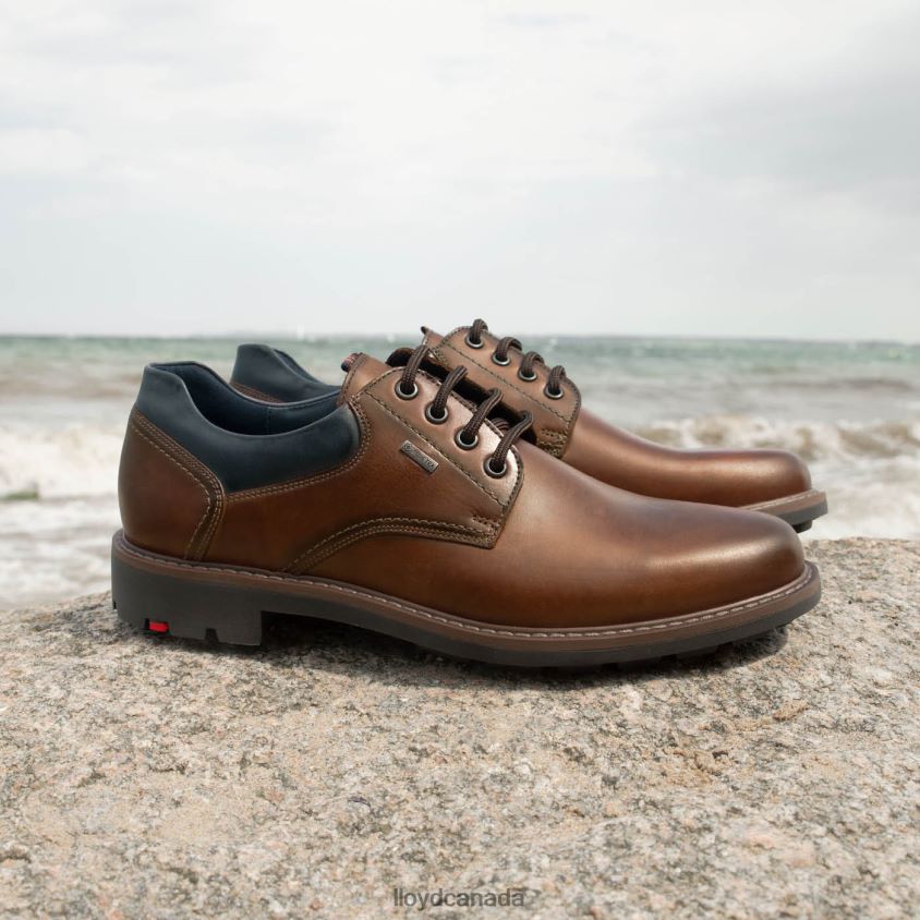 VANJA LLOYD Men brown R084ZF576 Shoes