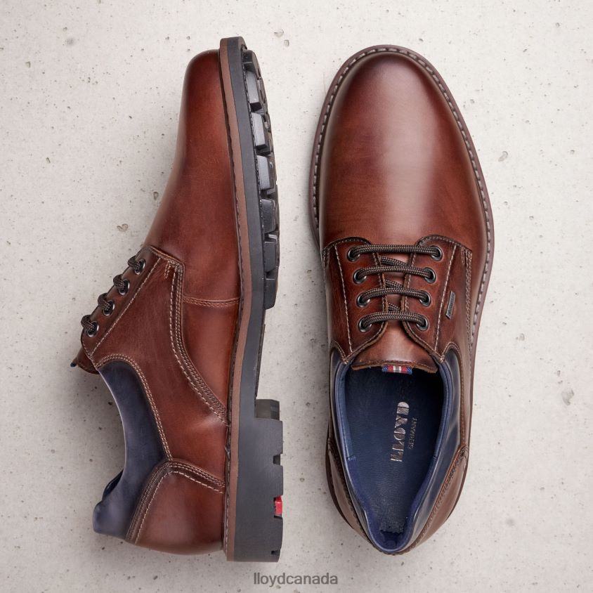 VANJA LLOYD Men brown R084ZF576 Shoes