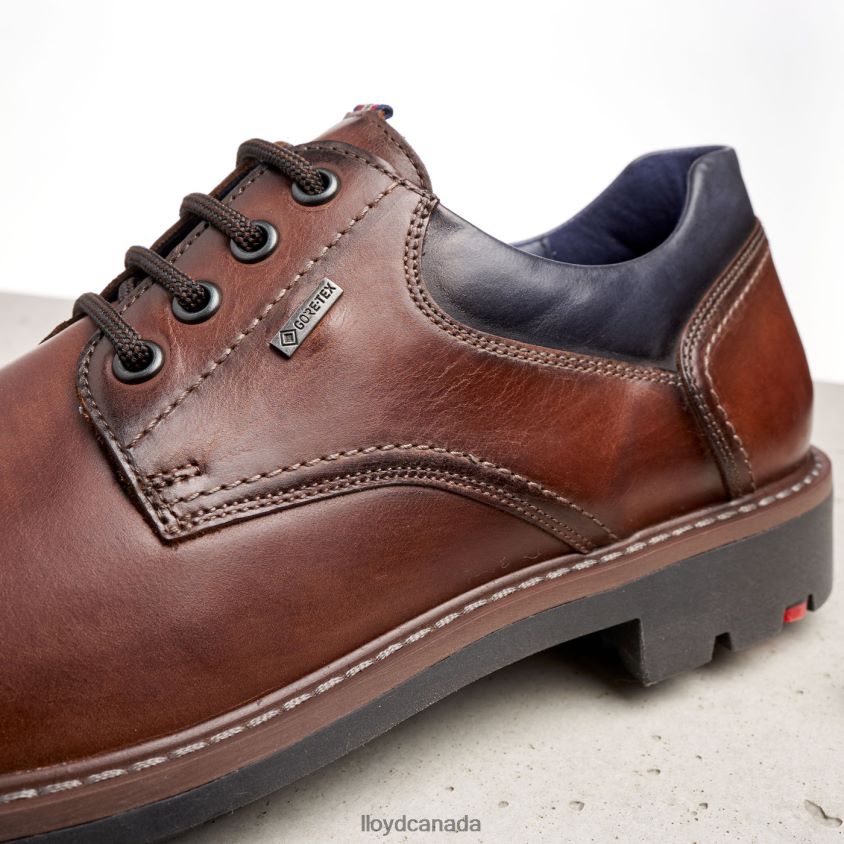 VANJA LLOYD Men brown R084ZF576 Shoes