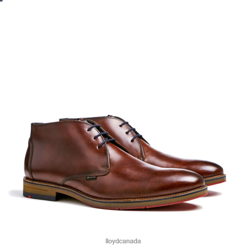 VERDON LLOYD Men brown R084ZF138 Shoes