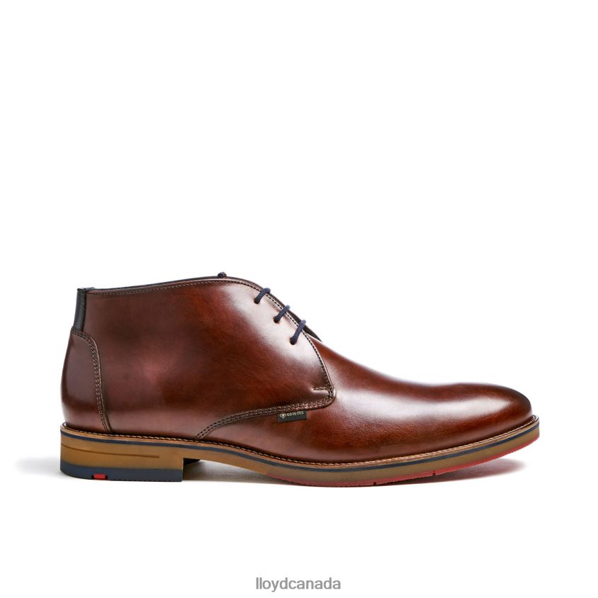 VERDON LLOYD Men brown R084ZF138 Shoes