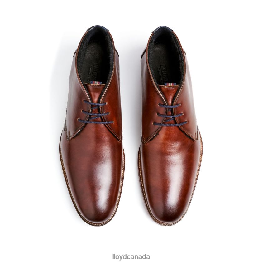 VERDON LLOYD Men brown R084ZF138 Shoes