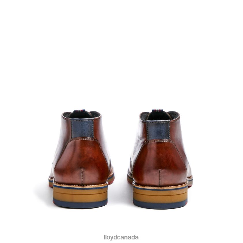 VERDON LLOYD Men brown R084ZF138 Shoes