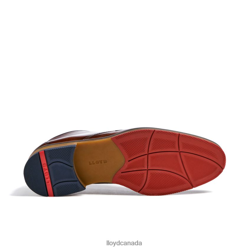 VERDON LLOYD Men brown R084ZF138 Shoes