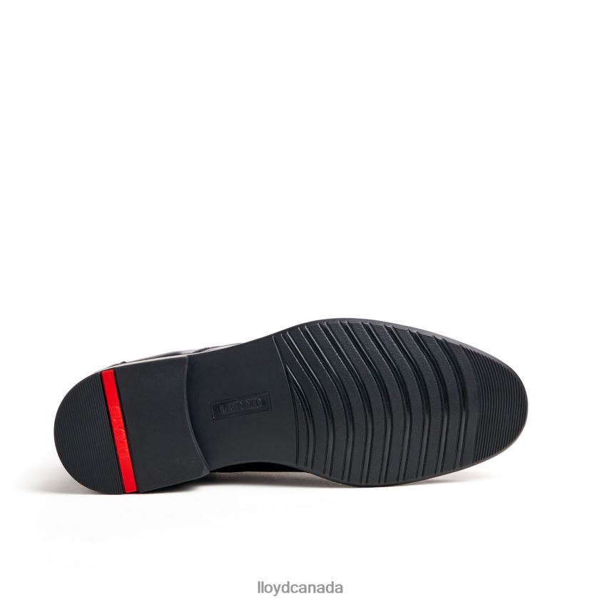 VINEY LLOYD Men black R084ZF154 Shoes