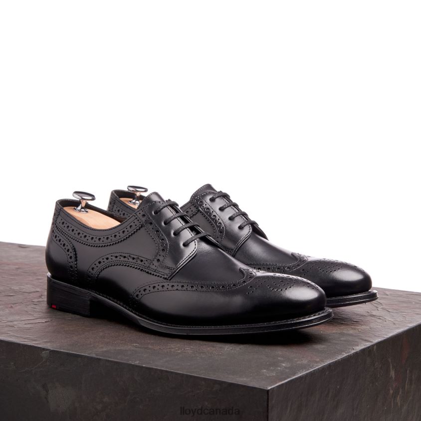 WALTHAM LLOYD Men black R084ZF70 Shoes