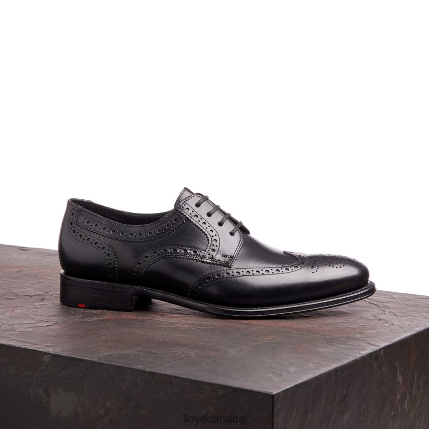 WALTHAM LLOYD Men black R084ZF70 Shoes