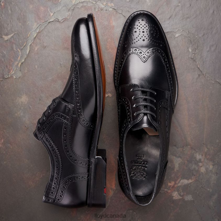 WALTHAM LLOYD Men black R084ZF70 Shoes