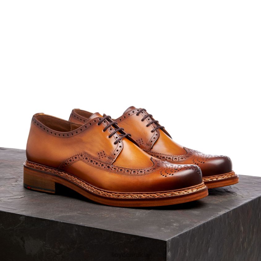 WOTAN LLOYD Men brown R084ZF163 Shoes