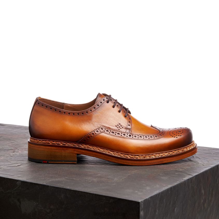 WOTAN LLOYD Men brown R084ZF163 Shoes