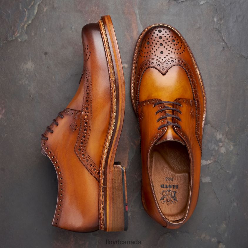 WOTAN LLOYD Men brown R084ZF163 Shoes