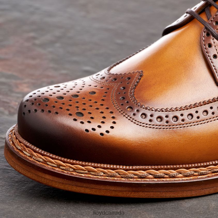 WOTAN LLOYD Men brown R084ZF163 Shoes