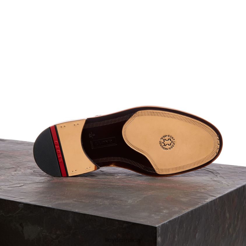 WOTAN LLOYD Men brown R084ZF163 Shoes