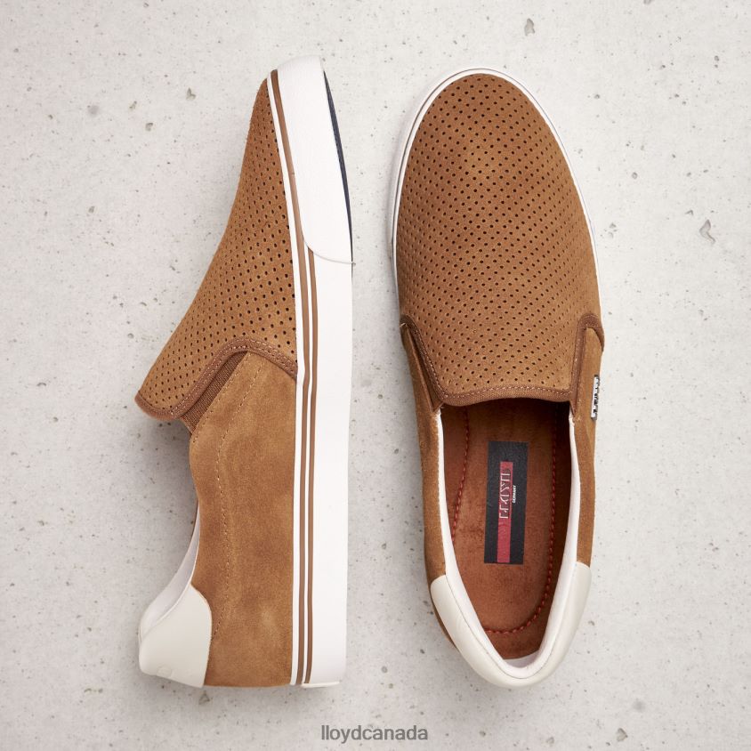 ELDORET LLOYD Men brown R084ZF606 Shoes
