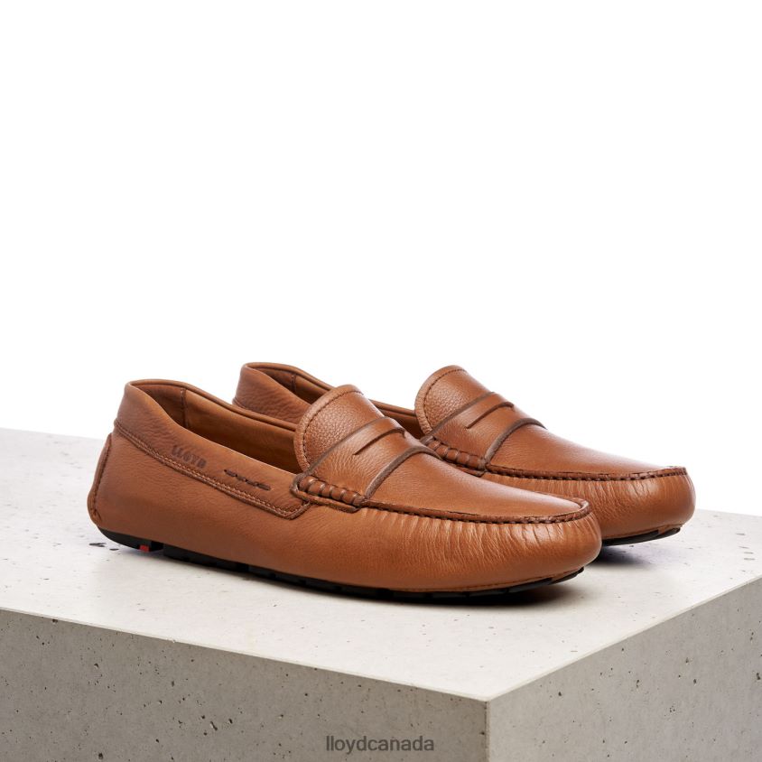 EMMO LLOYD Men brown R084ZF610 Shoes