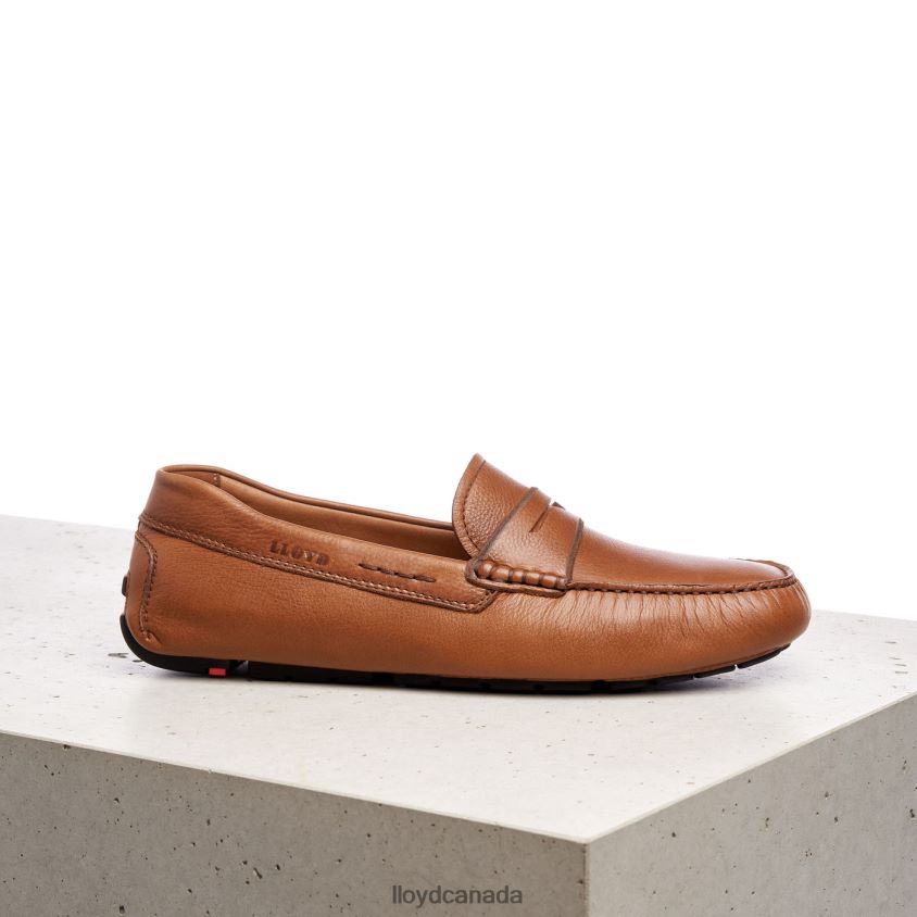 EMMO LLOYD Men brown R084ZF610 Shoes