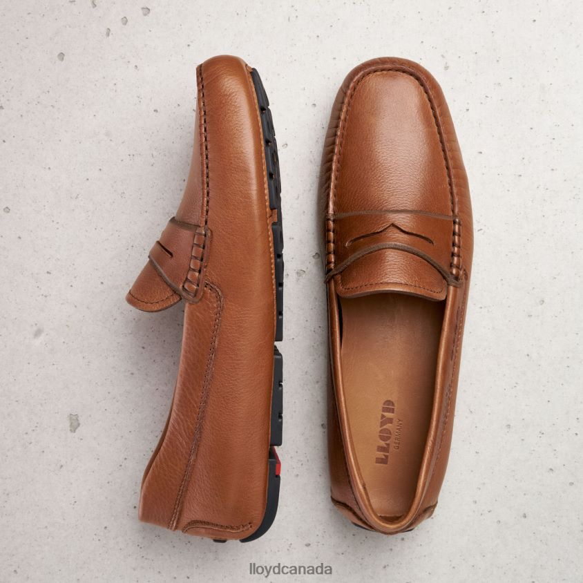 EMMO LLOYD Men brown R084ZF610 Shoes