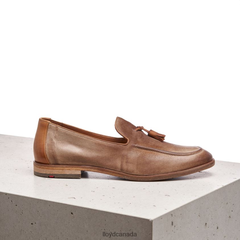 ODAL LLOYD Men brown R084ZF590 Shoes