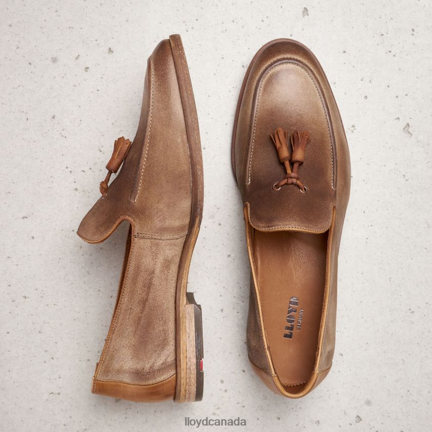 ODAL LLOYD Men brown R084ZF590 Shoes