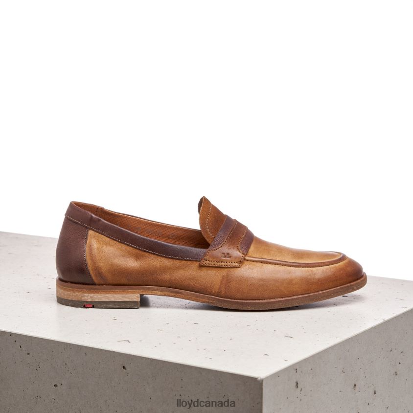 OKTANT LLOYD Men brown R084ZF604 Shoes