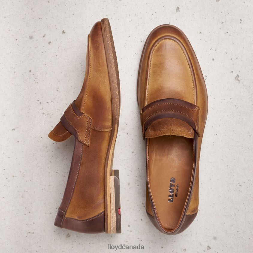 OKTANT LLOYD Men brown R084ZF604 Shoes