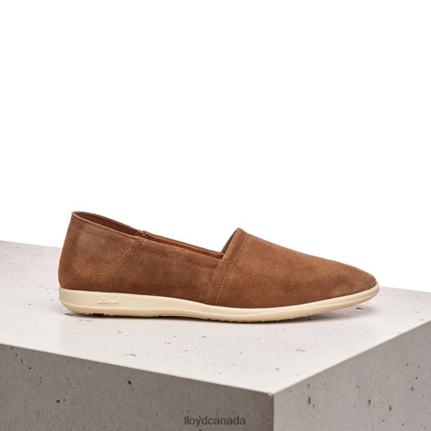 RANDY LLOYD Men brown R084ZF598 Shoes