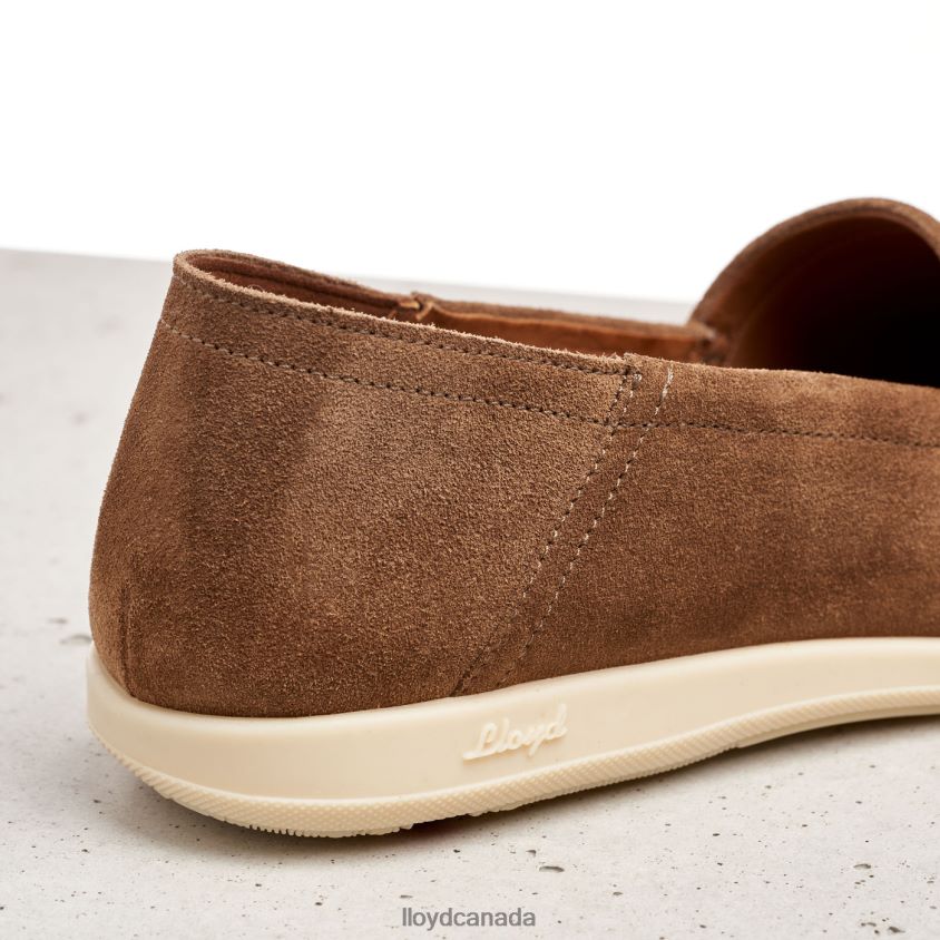 RANDY LLOYD Men brown R084ZF598 Shoes