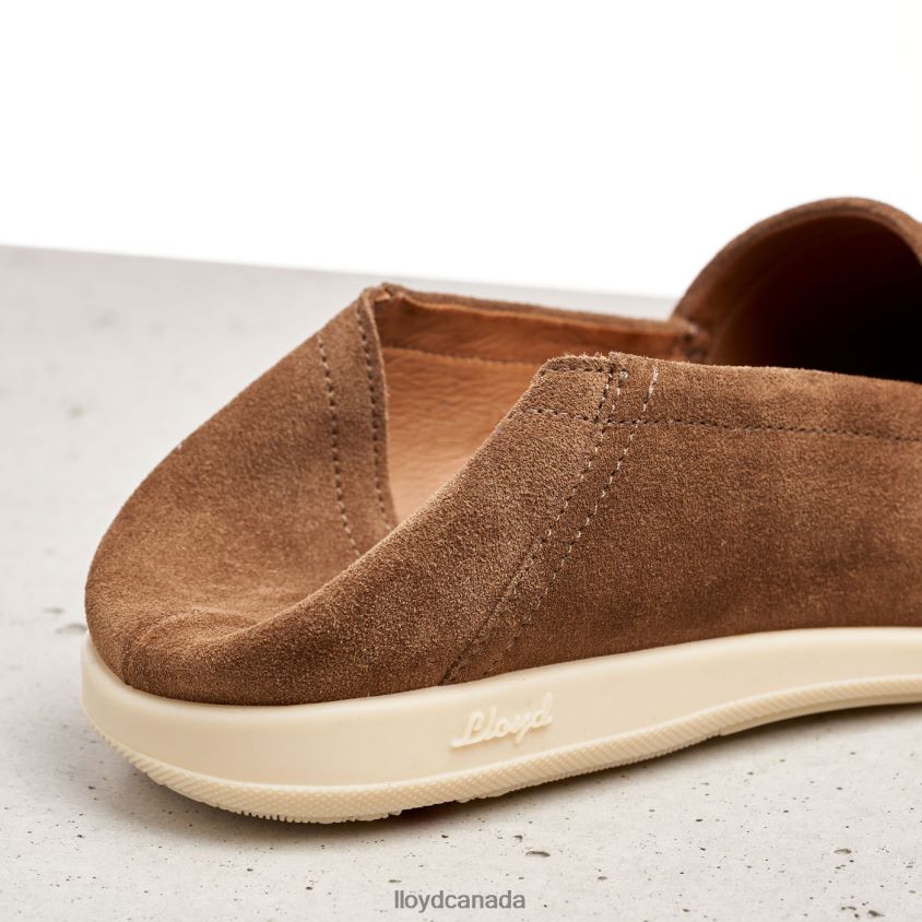 RANDY LLOYD Men brown R084ZF598 Shoes