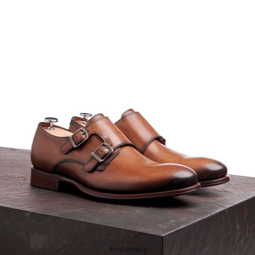 WILKO LLOYD Men brown R084ZF185 Shoes
