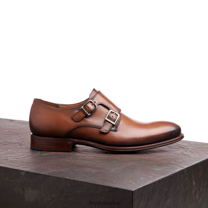 WILKO LLOYD Men brown R084ZF185 Shoes