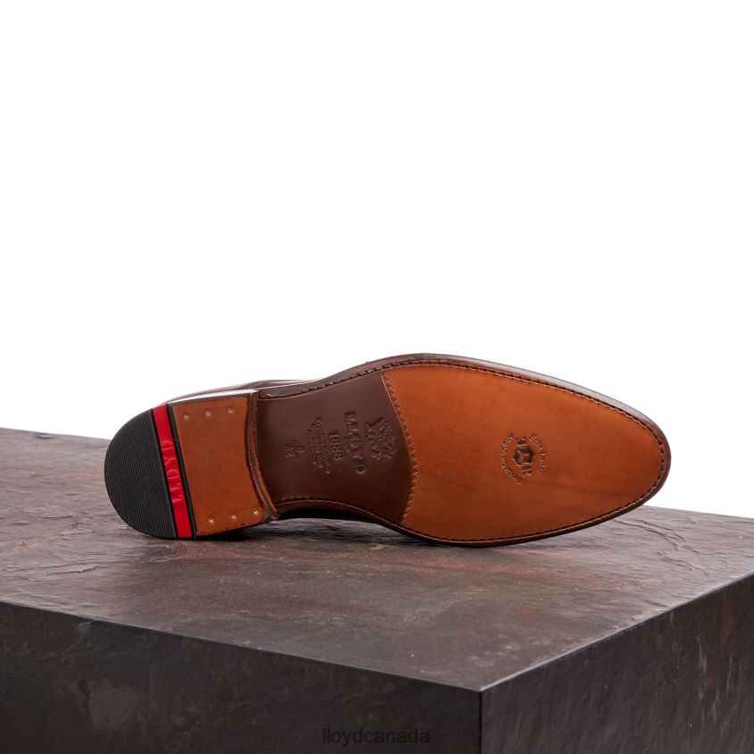 WILKO LLOYD Men brown R084ZF185 Shoes