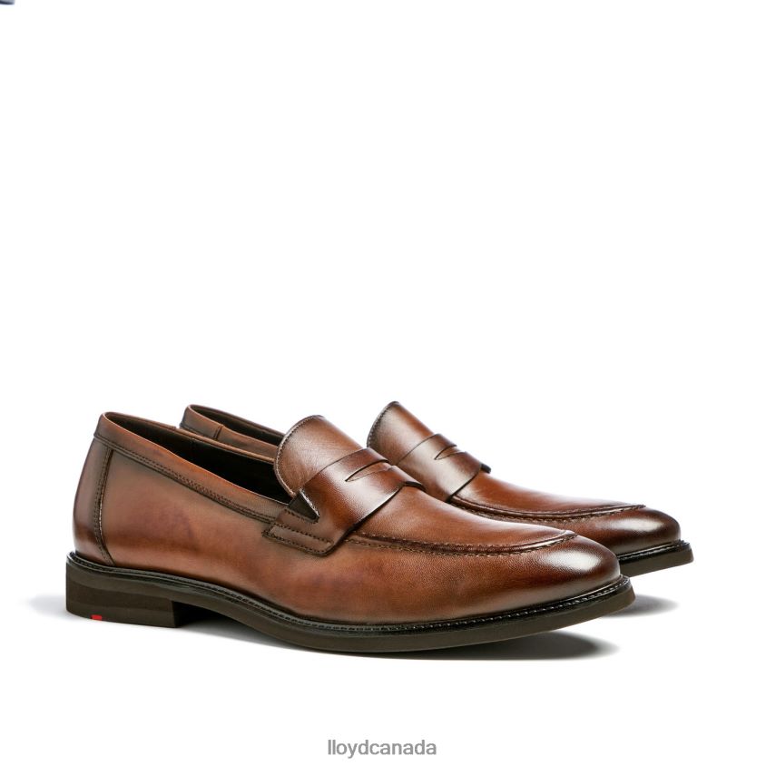 REYNOLD LLOYD Men brown R084ZF56 Shoes