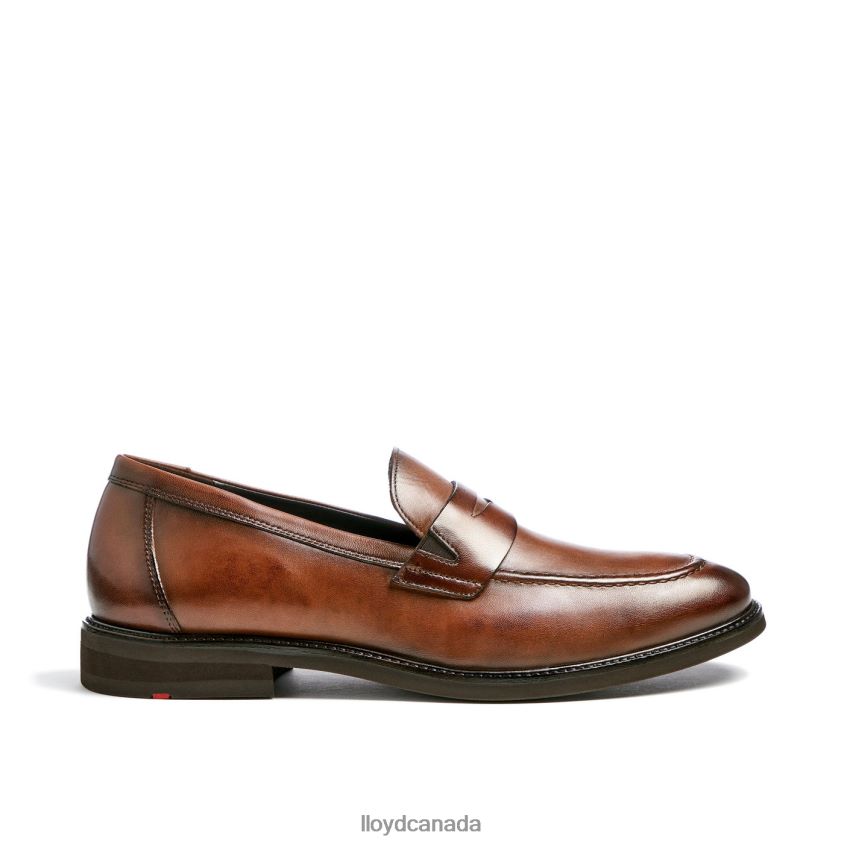 REYNOLD LLOYD Men brown R084ZF56 Shoes