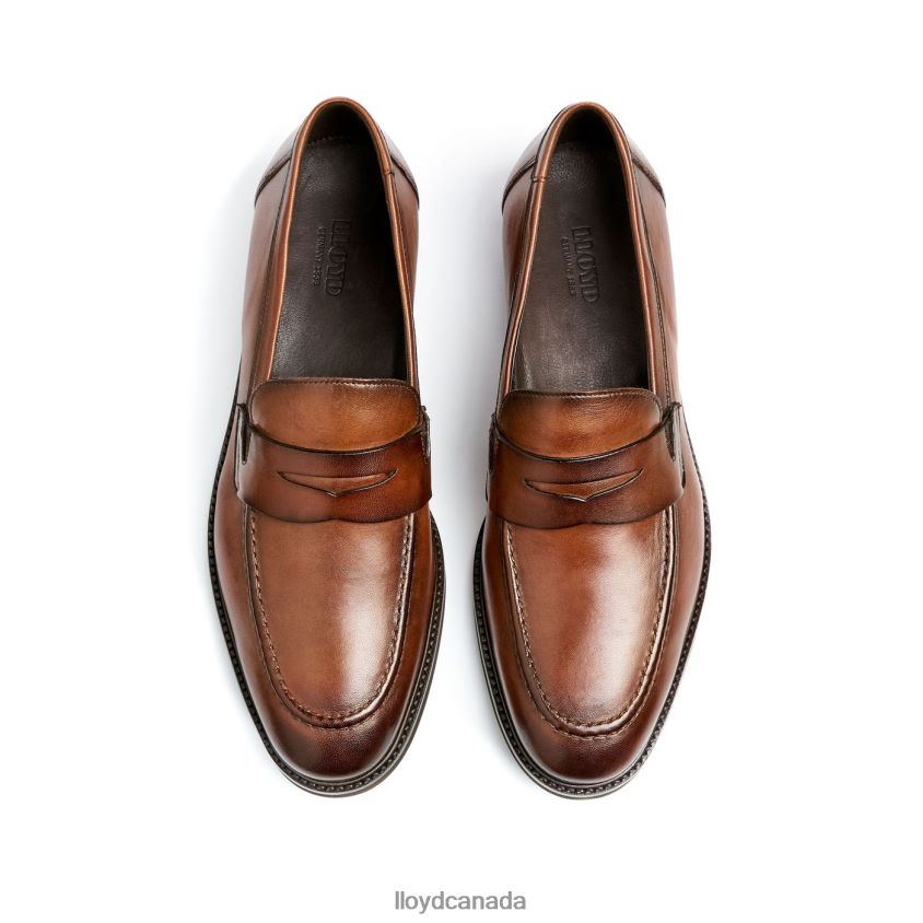 REYNOLD LLOYD Men brown R084ZF56 Shoes